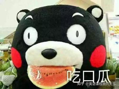 吃瓜群众也觉得很有意思,趣味横生的热门事件大盘点