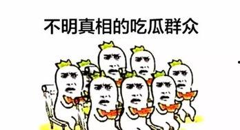 一个萌萌哒吃瓜群众图片,一场视觉与味蕾的盛宴