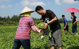 群众吃瓜节视频,群众吃瓜节欢乐瞬间大盘点