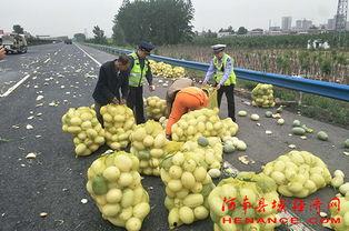 蒲西区吃瓜群众,吃瓜群众的热议焦点