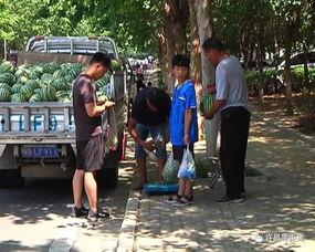 蒲西区吃瓜群众,吃瓜群众的热议焦点