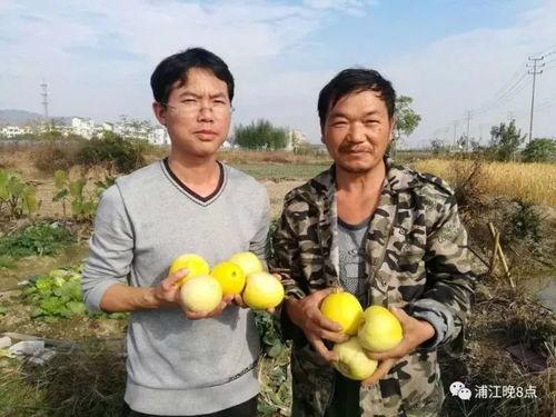 吃瓜群众77,网络红人的崛起之路