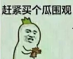 石岛吃瓜群众是谁,揭秘网络热词背后的故事