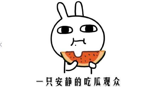 正确对待吃瓜群众,理性看待,文明参与