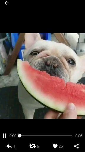 吃瓜群众聊人生,吃瓜群众视角下的生活百态