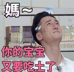 吃瓜群众不买车,不买车，生活也能精彩无限