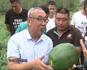 吃瓜群众博士,揭秘娱乐圈背后的真相与内幕