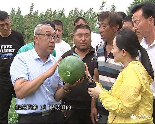 吃瓜群众博士,揭秘娱乐圈背后的真相与内幕