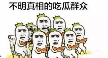 大型吃瓜群众是什么,网络时代的围观力量