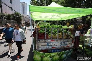 城市吃瓜群众,揭秘都市生活百态