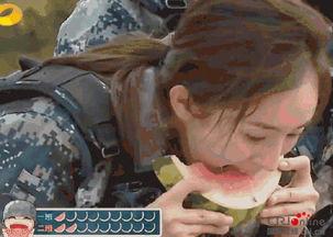 秒变吃瓜群众的图片大全,趣味横生的图片大全集锦