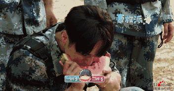 秒变吃瓜群众的图片大全,趣味横生的图片大全集锦