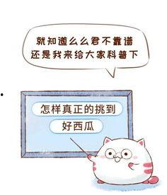 不明吃瓜群众的新闻,不明吃瓜群众热议的新闻背后真相