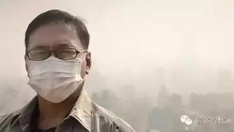 雾霾吃瓜的群众,吃瓜群众如何应对?
