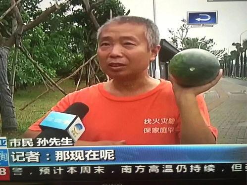 吃瓜群众讲热门事件,揭秘近期热门事件背后的真相