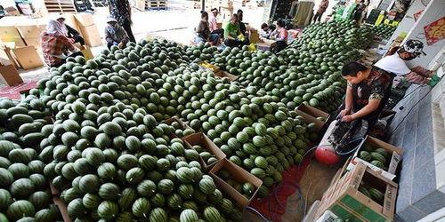 吃瓜群众音乐原视频,揭秘流行音乐背后的故事