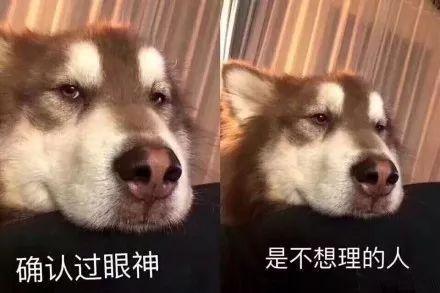 被男生说自己是吃瓜群众,揭秘“吃瓜群众”的神秘面纱