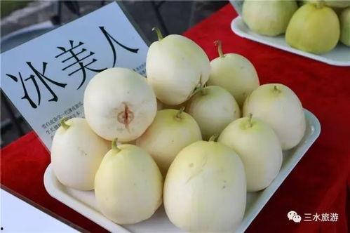 吃瓜群众雪宝儿是谁,网络红人的崛起之路