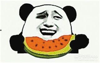 丹江吃瓜群众事件真相是真的吗,真相揭秘