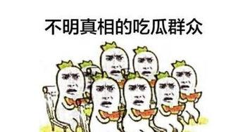 每天吃瓜群众,吃瓜群众的趣味生活点滴