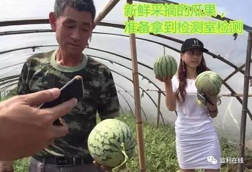 加油吃瓜群众直播,揭秘“加油吃瓜群众”的火爆现场