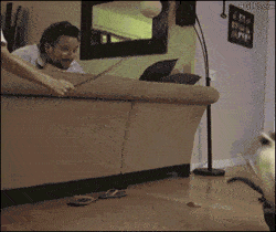 吃瓜群众围观动图搞笑图片,笑料横生！吃瓜群众围观动图搞笑瞬间