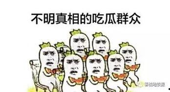 学做吃瓜群众视频下载