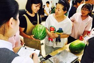 吃瓜群众9456,一场全民参与的娱乐盛宴